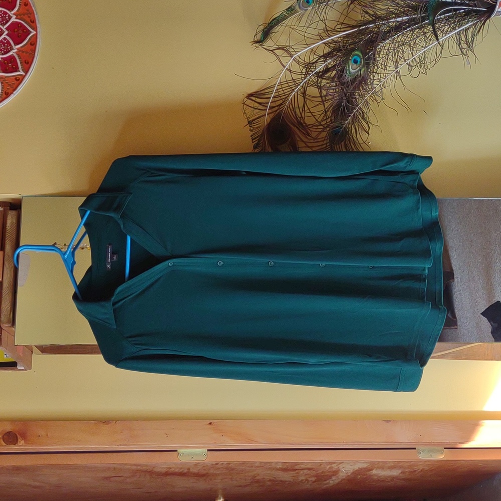 Adrianna Papell Button Down Long Sleeve Shirt with Collar Green color Size Large